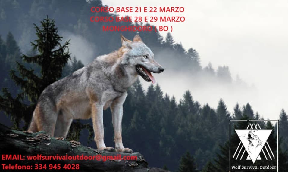 Base: Fine Marzo